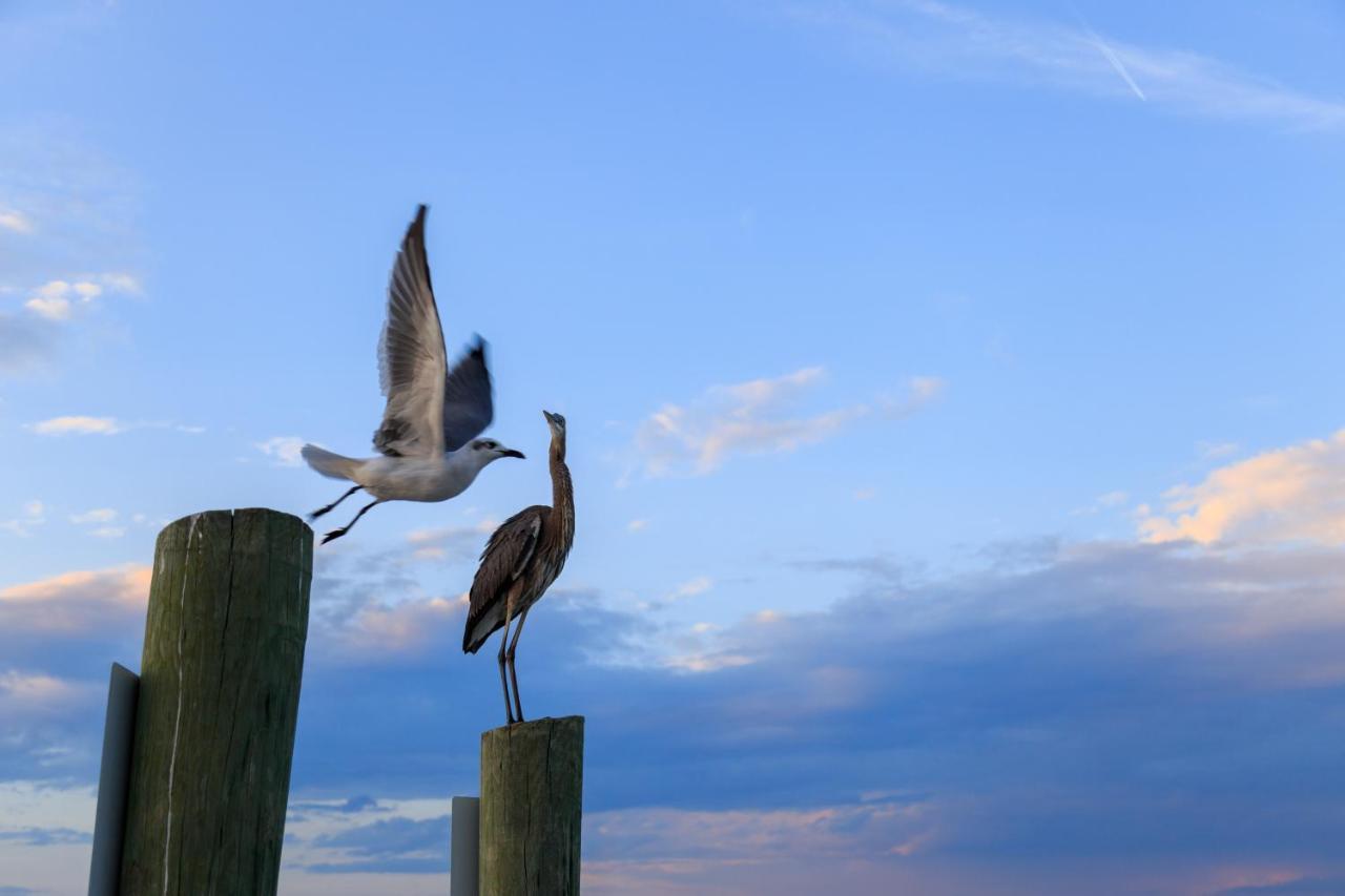 Captains Walk Condos Hilton Head Island Ngoại thất bức ảnh